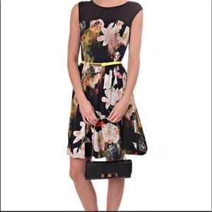 EUC Ted Baker Cameela Dress 4 (us10)